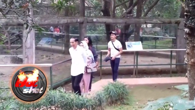 Hot Shot Seruuu: Jokowi Liburan di Ragunan - Hot Shot 30 Juni 2017
