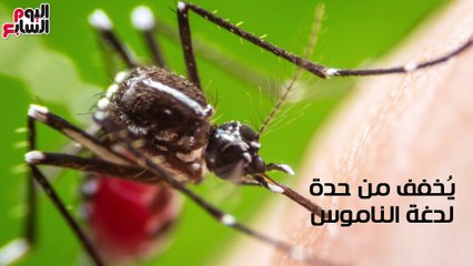 فيديو معلوماتي.. "8  استخدامات تانية غير الأكل..الملح بيعمل المعجزات"