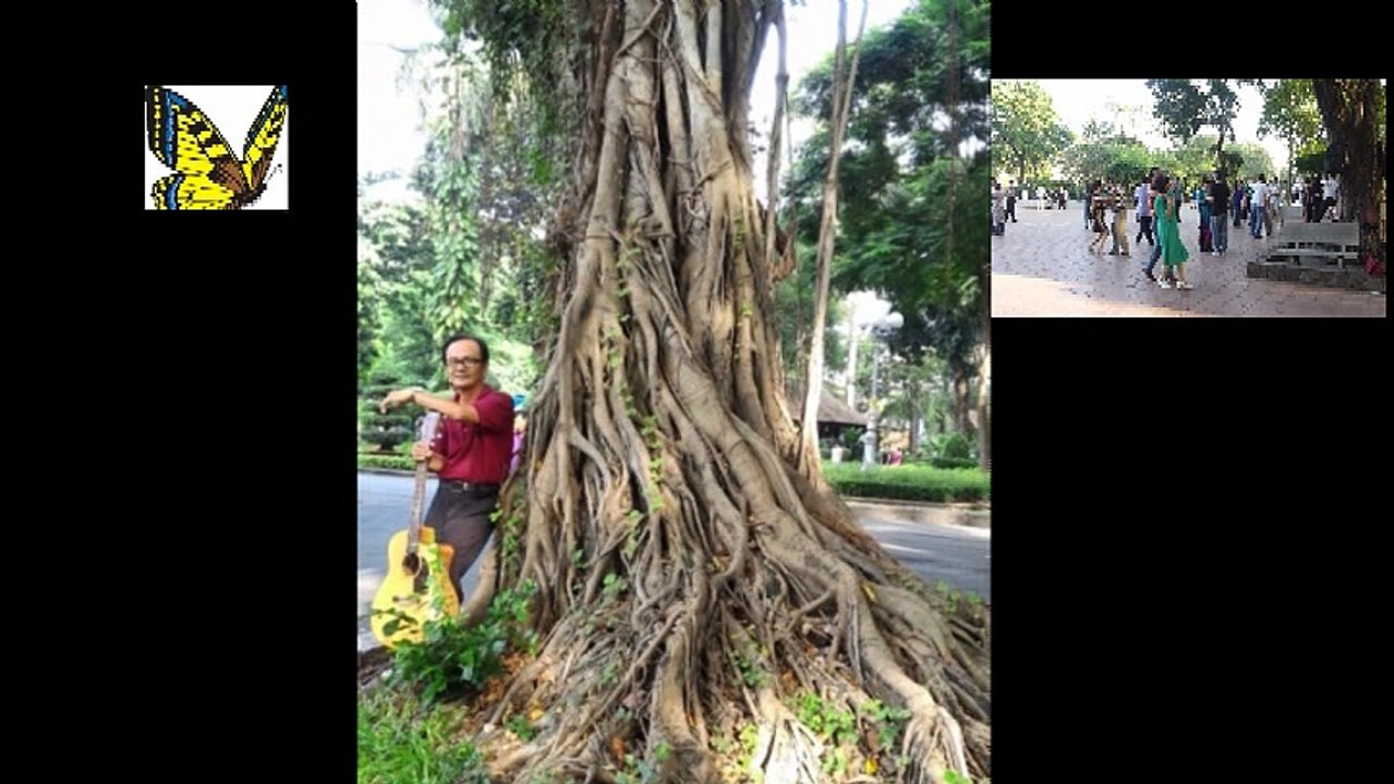 Hai Hoa rung cho em