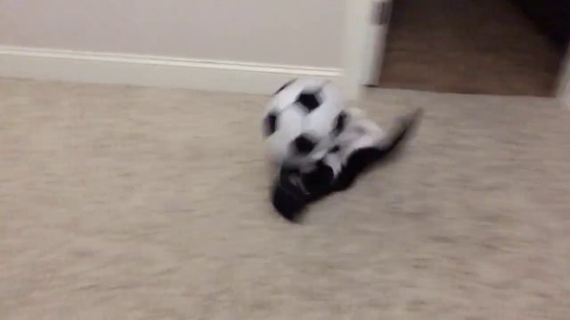 Une belle compilation de FAIL avec des ballons... Douloureux mais drole