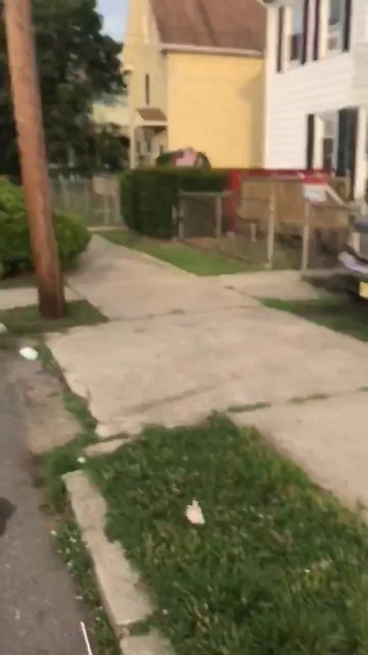 Violente arrestation, la police frappe un homme