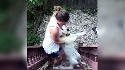 Quand ton chien ne veut pas rentrer de promenade !