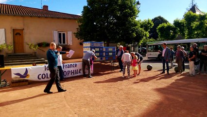 Tour de France de pigeons de course, Limas, 30 juin 2017