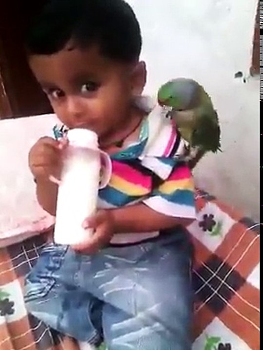 Most funny videos 2017  TOP MOST Funny Videos 2017 24