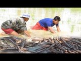 Net Fishing - Cambodian Traditional Fishing by Cam Amazing