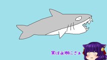 【ゆっくり実況】幼女うp主vs巨大サメ！？凶暴すぎるサメと本気の勝負�