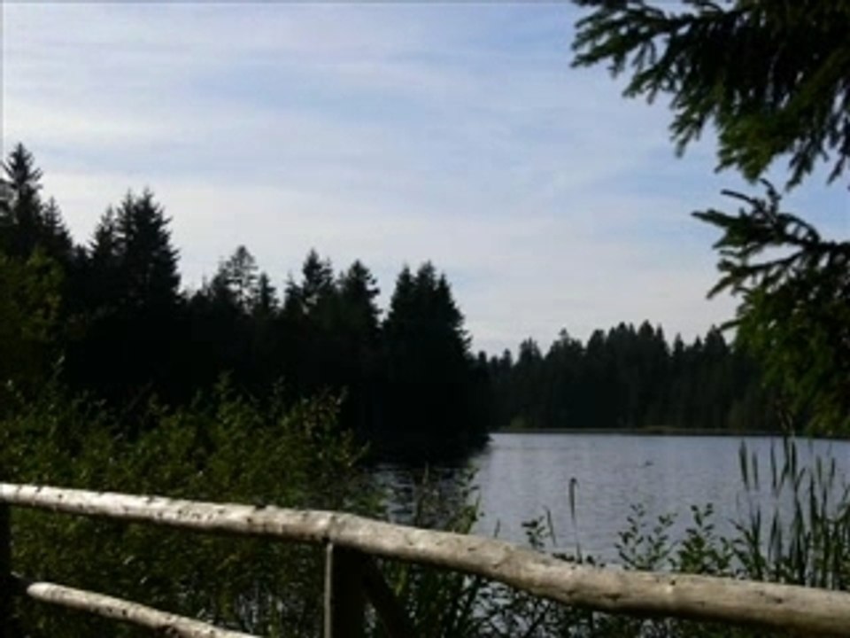Balade à l'étang de la Gruère 2006