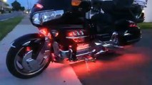 XK Carbon Motorcycle LED Accent Light Kit on 2006 GoldWing