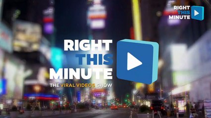 NGO rescued kittens from Drain