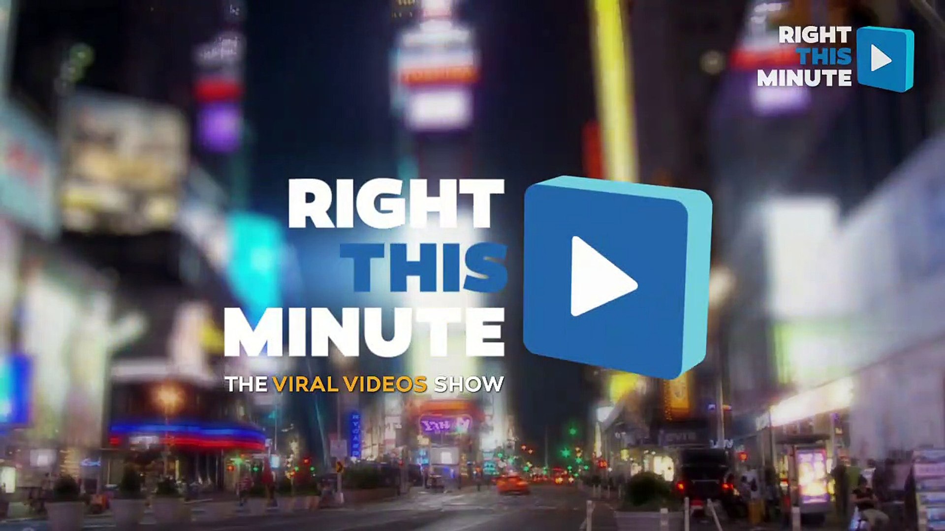 NGO rescued kittens from Drain