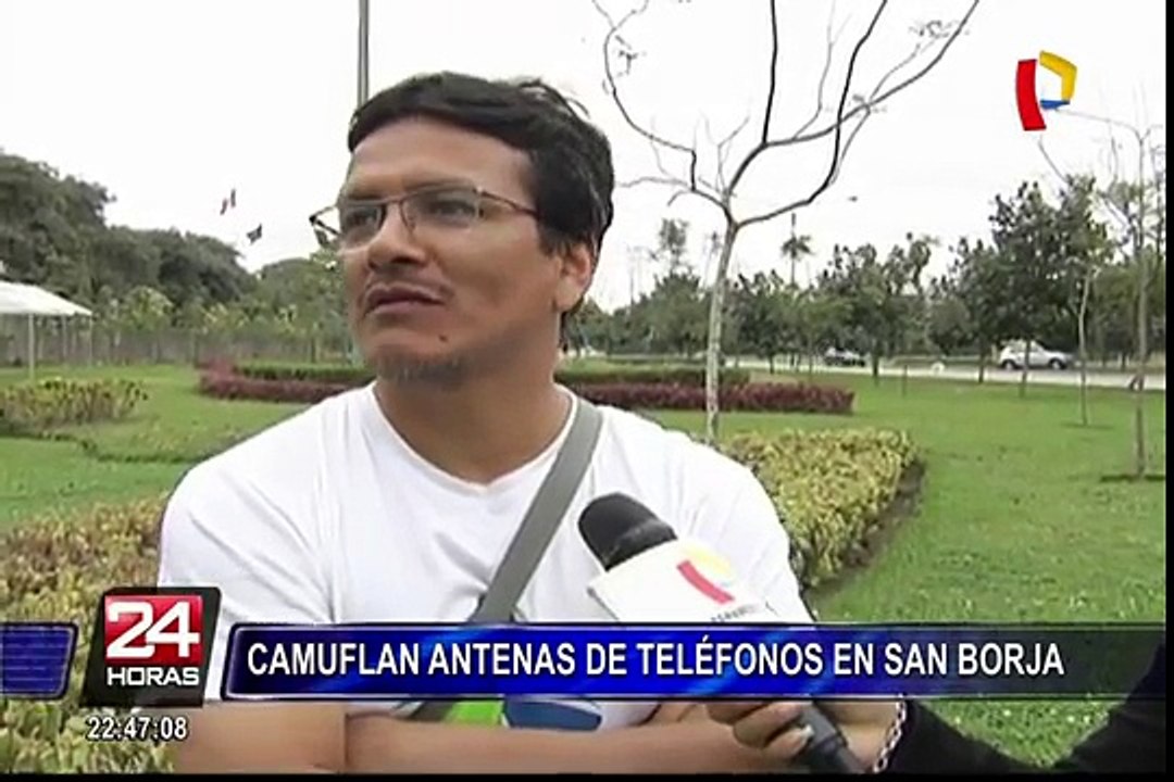 San Borja: antenas de telefonía son camufladas en forma de árboles