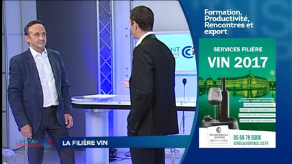 L'instant entreprendre avec Yann Jestin, élu CCI Bordeaux Gironde - La filière vin