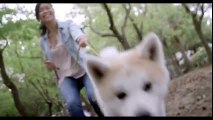 Furbo Dog Camera- Treat Tossing, HD Wifi Cam, and More