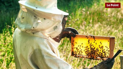 Comment lire les étiquettes de nos produits #5 : le miel