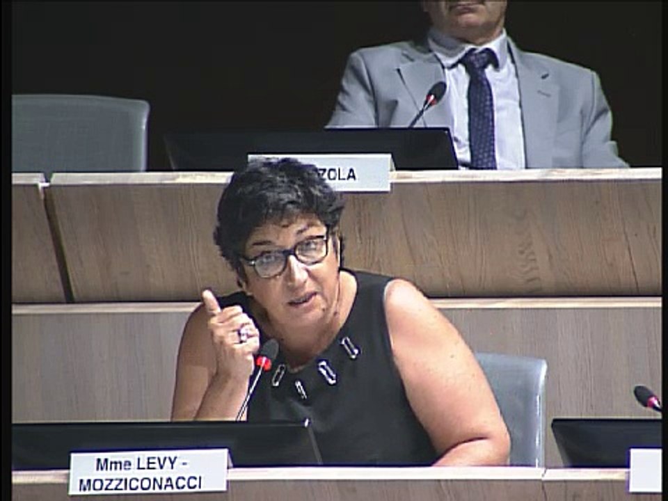 Urbanisation excessive, absence de zones de respiration, Annie Levy-Mozziconacci intervient sur la vente du site de Clot Bey