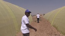 El campo iraquí, una esperanza para los refugiados sirios huidos de la guerra