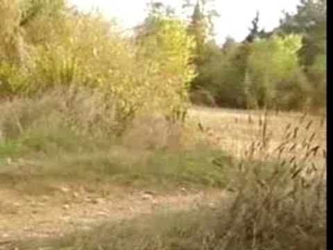 moto cross nice yz 125 est le crash a la fin