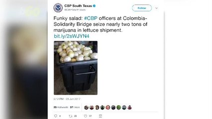 Almost 2 Tons Of Weed Disguised as Lettuce Seized In Texas
