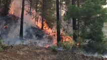 Alanya'da Orman Yangını 10 Hektarda Etkili, Arazöz Alevlerin Ortasında Kaldı
