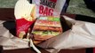 NEW McDonalds CHICKEN BIG MAC & CHEESEBURGER SHAKER FRIES FOOD REVIEW Gregs Kitchen