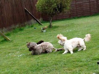 zoe holding on trying to stop bear.