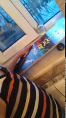 KAY KAY TANTM VIDYOSU