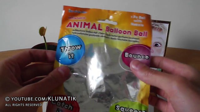 Eating a BABY PIG!! Kluna Tik Dinner #69 | ASMR eating sounds no talk