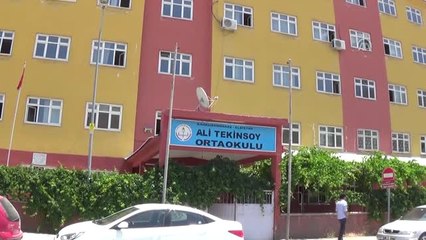 Kumrular Okul Koridorunda Yuva Yaptı