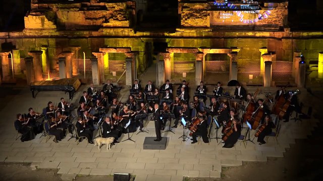 Un chien relax pendant un concert de musique classique