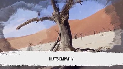 4 Stories That Tell Us Who Prophet Muhammad Really Was_ - Emotional Video