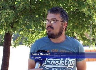 Uticaj vrućine na životinje 30. jun 2017. (RTV Bor)