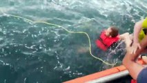 Coast Guard Rescues Family From Capsized Boat
