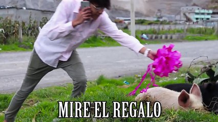 Me Rehúso Danny Ocean (PARODIA/PARODY) | KikeJav Ft. DiegoVillacis