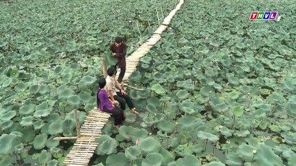Con gái chị hằng - Tập 35 || Phim Việt Nam