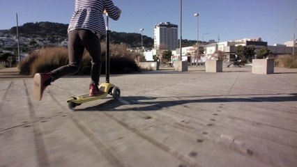 Freerider / planche à roulette / Trottinette Mountain Buggy