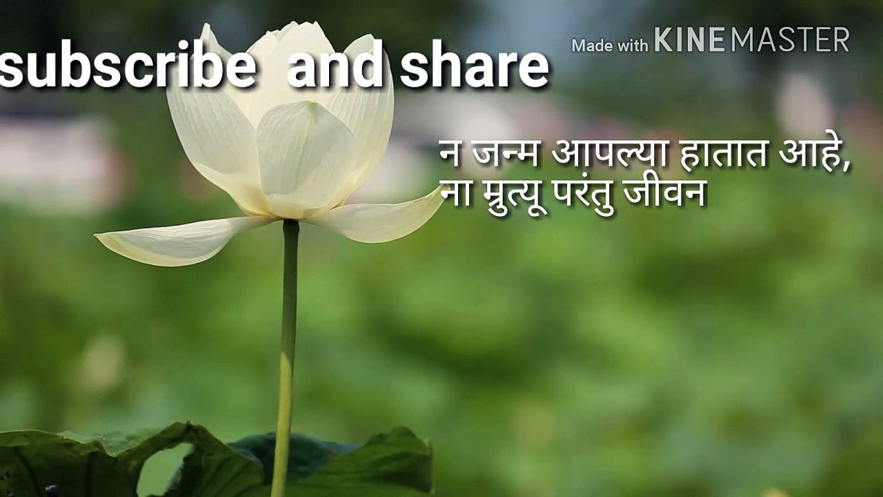 Good morning  / शुभ सकाळ /