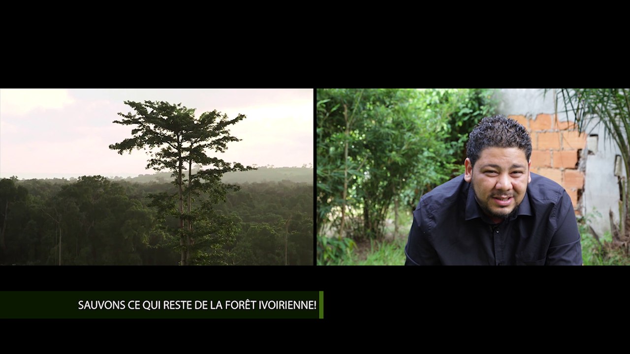 L'INSTANT ECOLO AVEC OUALAS - Sauvons ce qui reste de la forêt ivoirienne