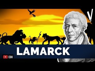 LAMARCK: O PIONEIRO DA EVOLUÇÃO│ Ciências da Natureza