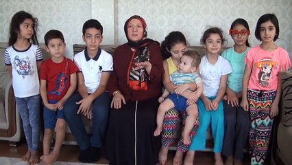 Şanlıurfa Hilvan'da, Ebabil Kuşu Bulundu