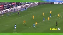 sezonun en iyi golü. (Napoli 4-0 Frosinone, Higuain)