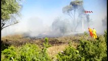 Antalya Manavgat'ta Orman Yangınında 5 Hektar Zarar Gördü