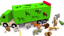 Niños para el desarrollo de dibujos animados de 12 a 36 meses sobre los animales