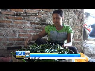 IMS Pedesan Entog Khas Indramayu