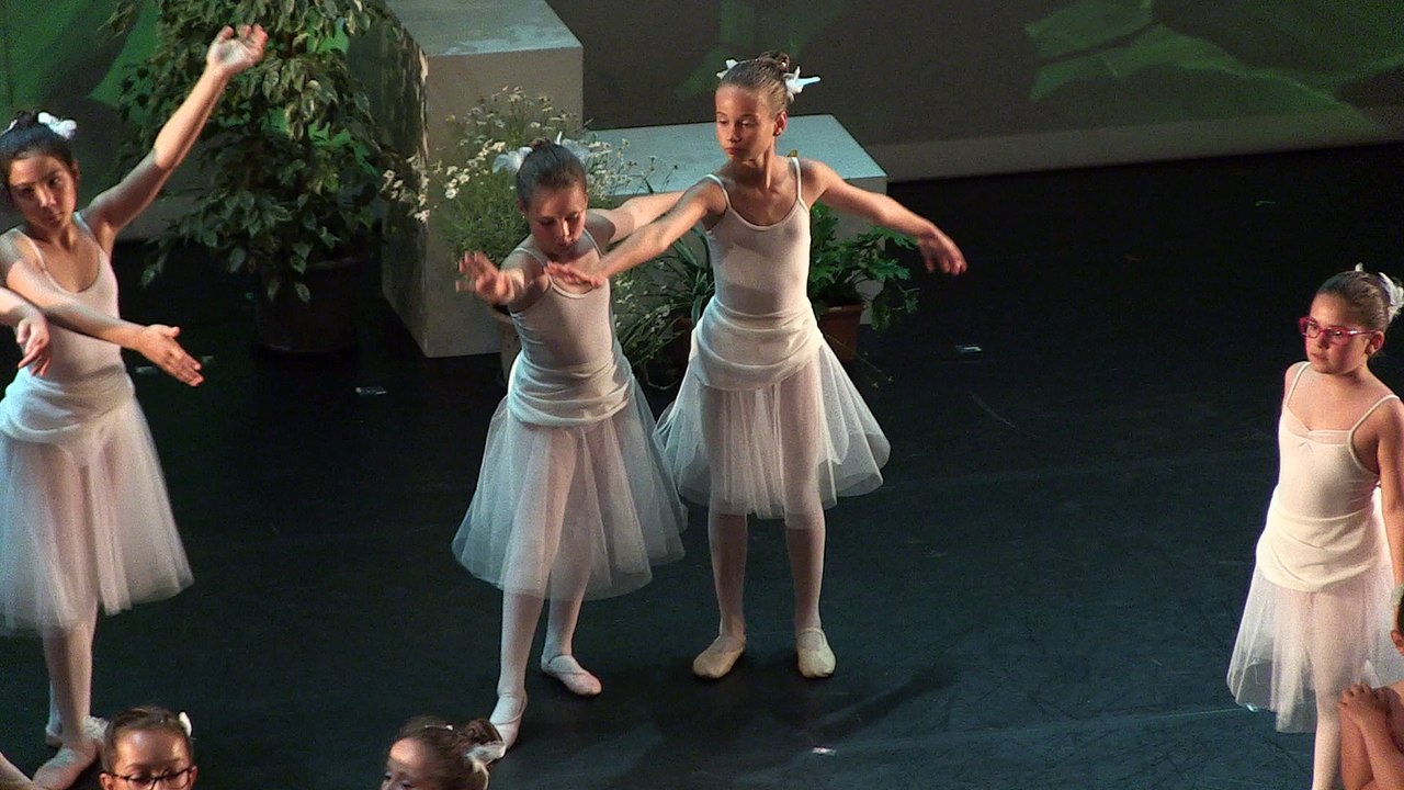 Spectacle Coupe d'or 2017
