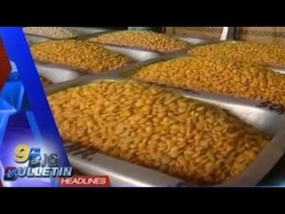 Big Bulletin | Latest News | April 20th, 2016