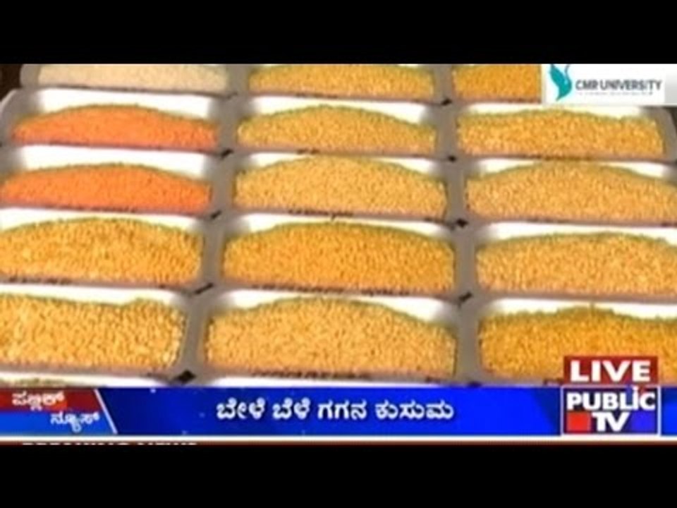 Pulses & Beans Now Cost Double