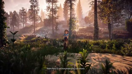 HORIZON ZERO DOWN (4)