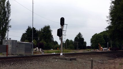 Rocky Mountaineer Backs out of Bow Siding then heads north