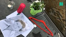 Les symboliques cintres côtoient fleurs et mots de remerciement, en hommage à Simone Veil