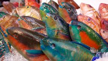 Japanese Street Food GIANT PARROTFISH SASHIMI Okinawa Japan